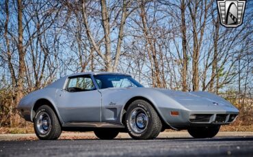 Chevrolet-Corvette-1974-Gray-Black-15644-8