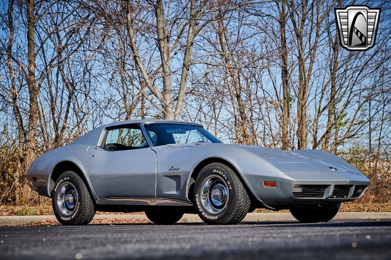 Chevrolet-Corvette-1974-Gray-Black-15644-8