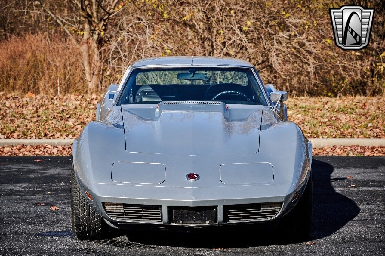 Chevrolet-Corvette-1974-Gray-Black-15644-9