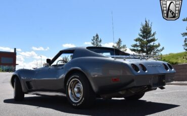 Chevrolet-Corvette-1974-Gray-Black-21594-4