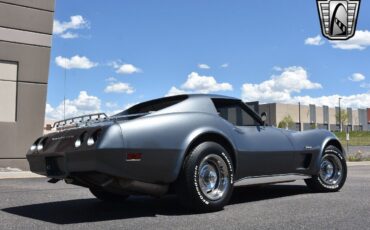 Chevrolet-Corvette-1974-Gray-Black-21594-6