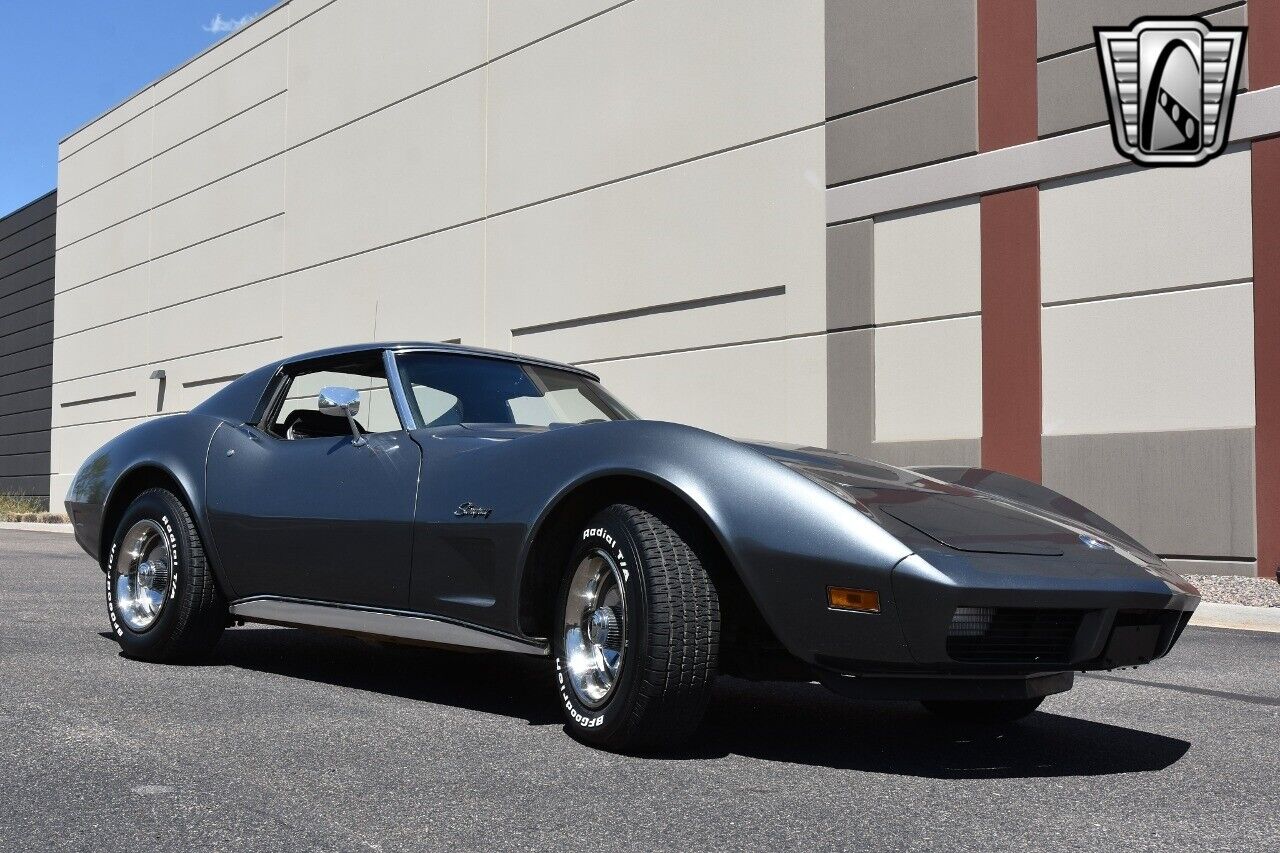 Chevrolet-Corvette-1974-Gray-Black-21594-8