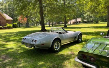 Chevrolet-Corvette-1975-silver-57936-18