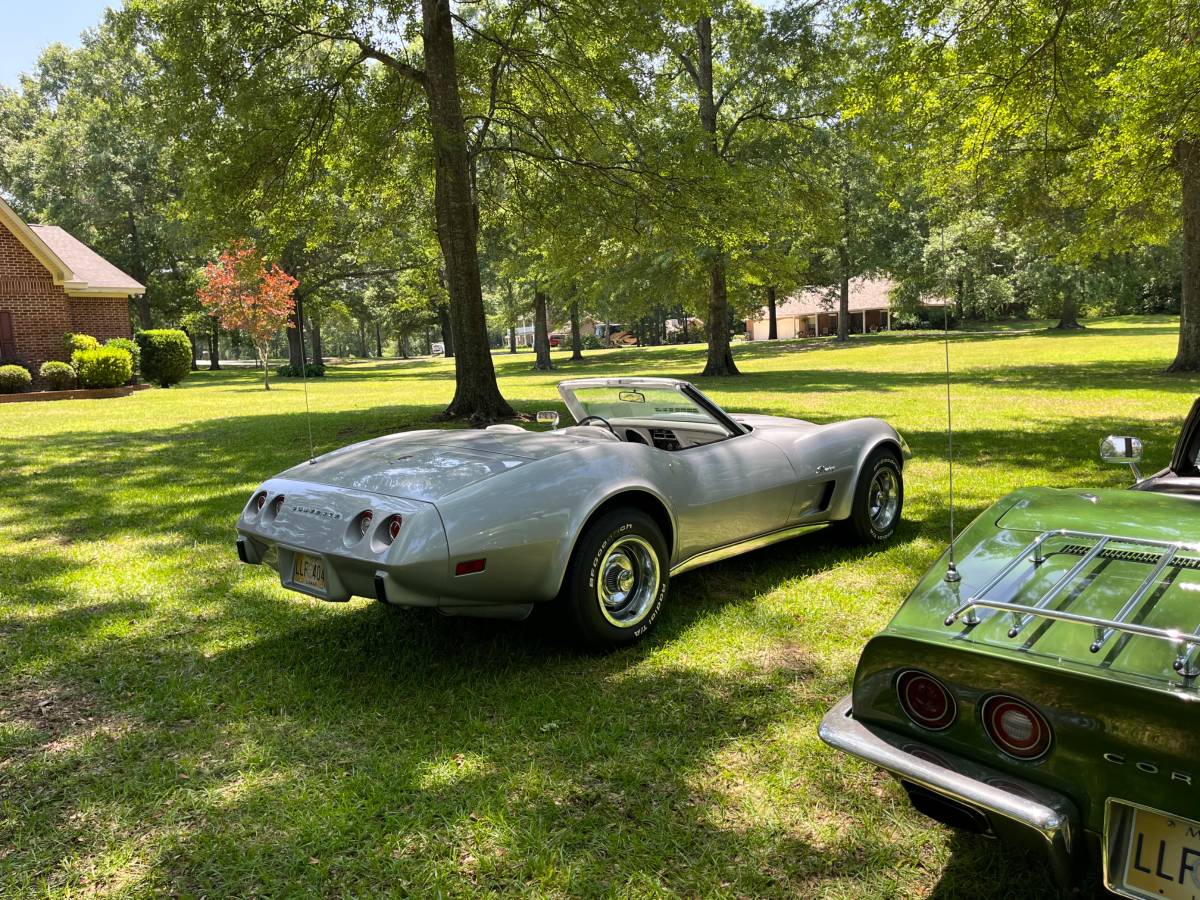 Chevrolet-Corvette-1975-silver-57936-18