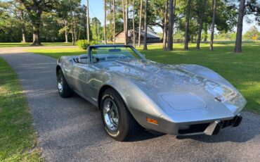 Chevrolet-Corvette-1975-silver-57936