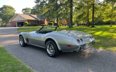 Chevrolet-Corvette-1975-silver-57936-5