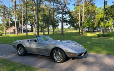 Chevrolet-Corvette-1975-silver-57936-7