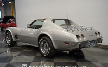 Chevrolet-Corvette-1976-Silver-Gray-71909-7