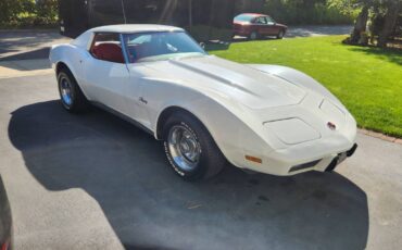 Chevrolet-Corvette-1976-white-167371-10