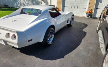 Chevrolet-Corvette-1976-white-167371-14