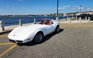 Chevrolet-Corvette-1976-white-167371-2