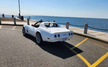 Chevrolet-Corvette-1976-white-167371-3