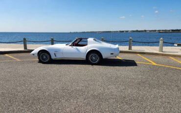 Chevrolet-Corvette-1976-white-167371-4