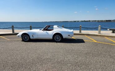 Chevrolet-Corvette-1976-white-167371-5