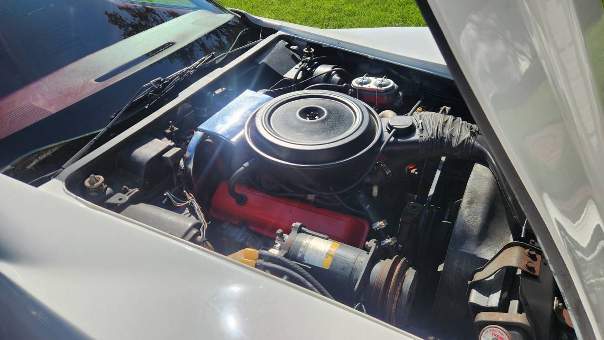 Chevrolet-Corvette-1976-white-167371-8