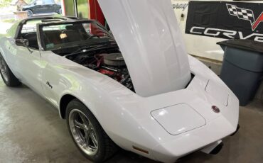 Chevrolet-Corvette-1976-white-27359-5