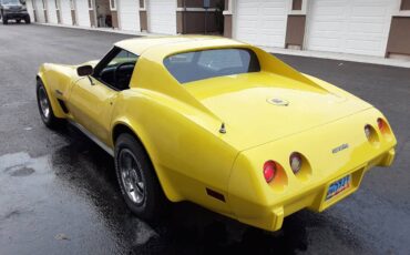 Chevrolet-Corvette-1976-yellow-145645-2