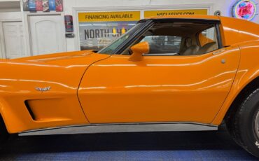 Chevrolet-Corvette-1977-Orange-Tan-132275-15