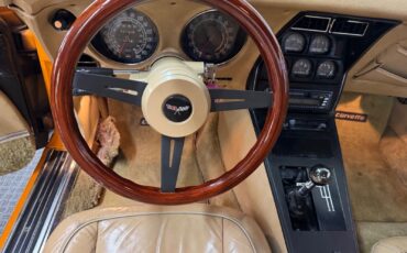 Chevrolet-Corvette-1977-Orange-Tan-132275-28