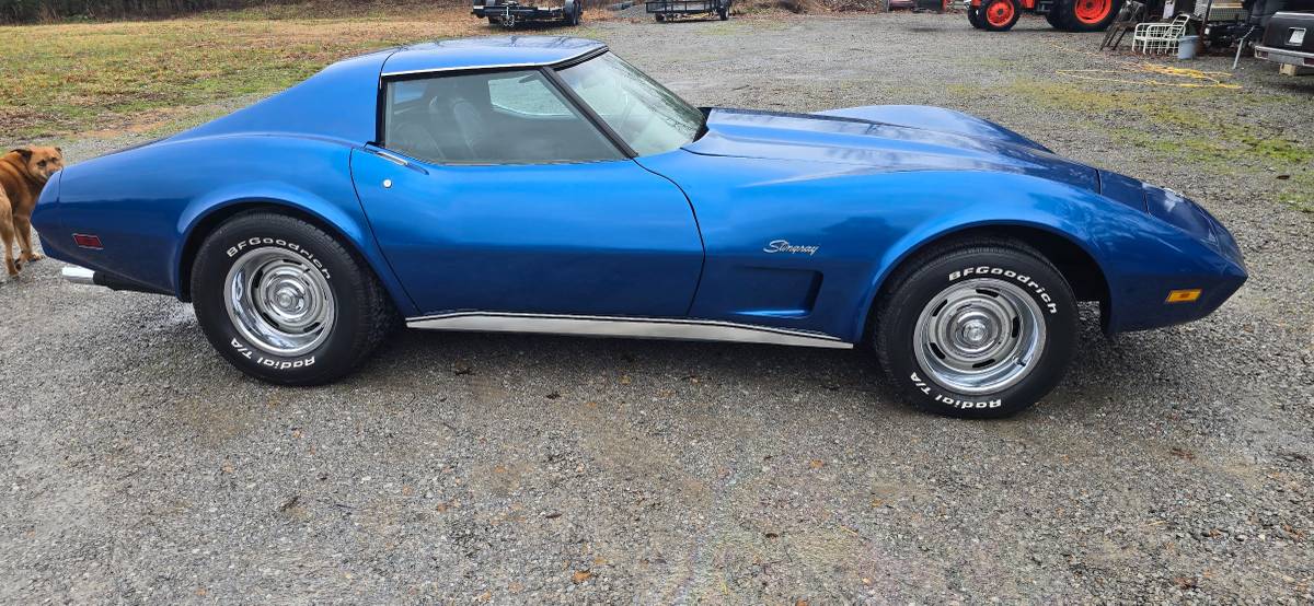 Chevrolet-Corvette-1977-blue-205996-3