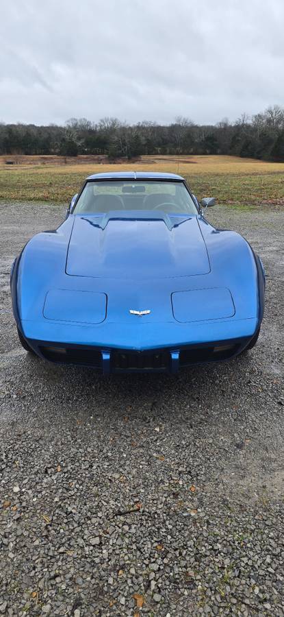 Chevrolet-Corvette-1977-blue-205996-4