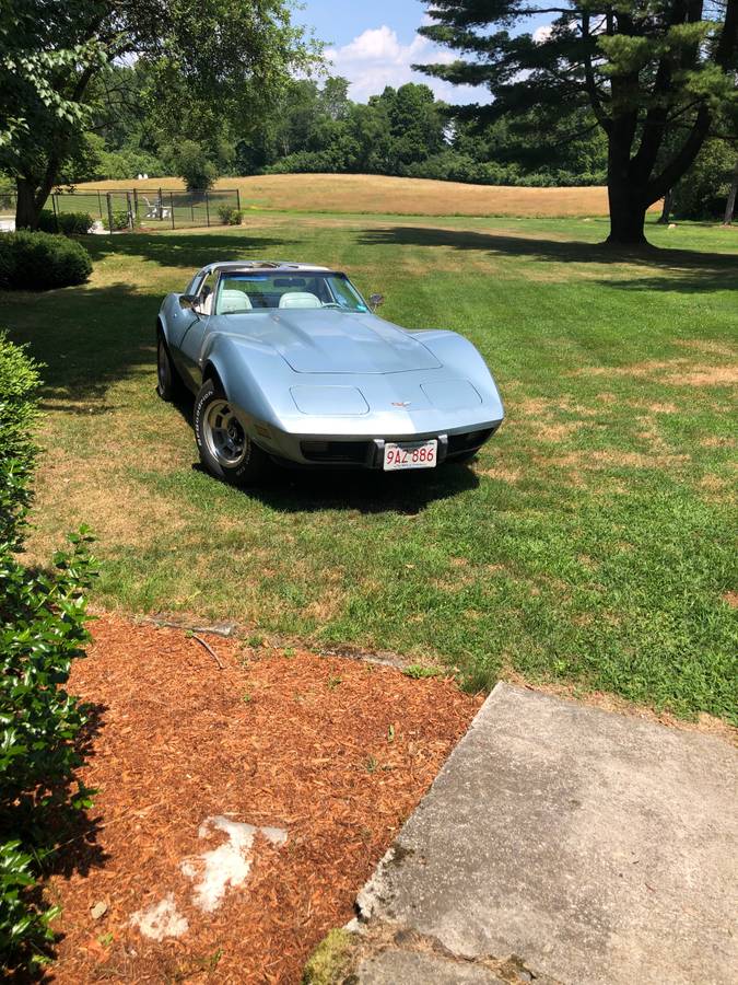 Chevrolet-Corvette-1977-blue-58741-3