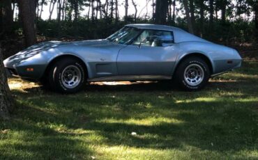 Chevrolet-Corvette-1977-blue-58741-4