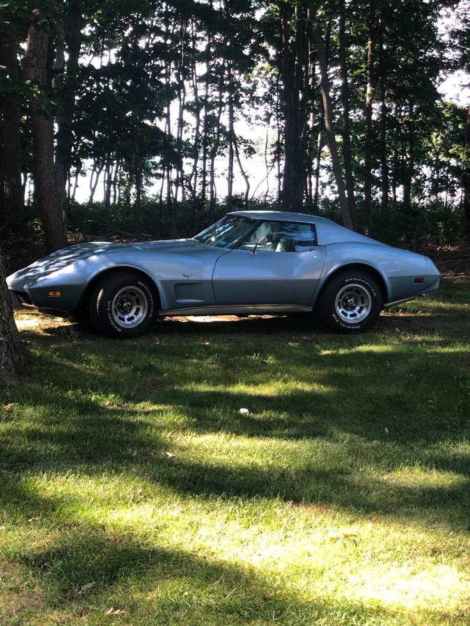 Chevrolet-Corvette-1977-blue-58741-4