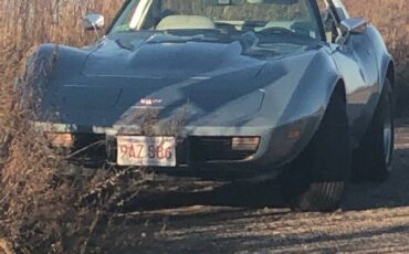 Chevrolet-Corvette-1977-blue-58741-5