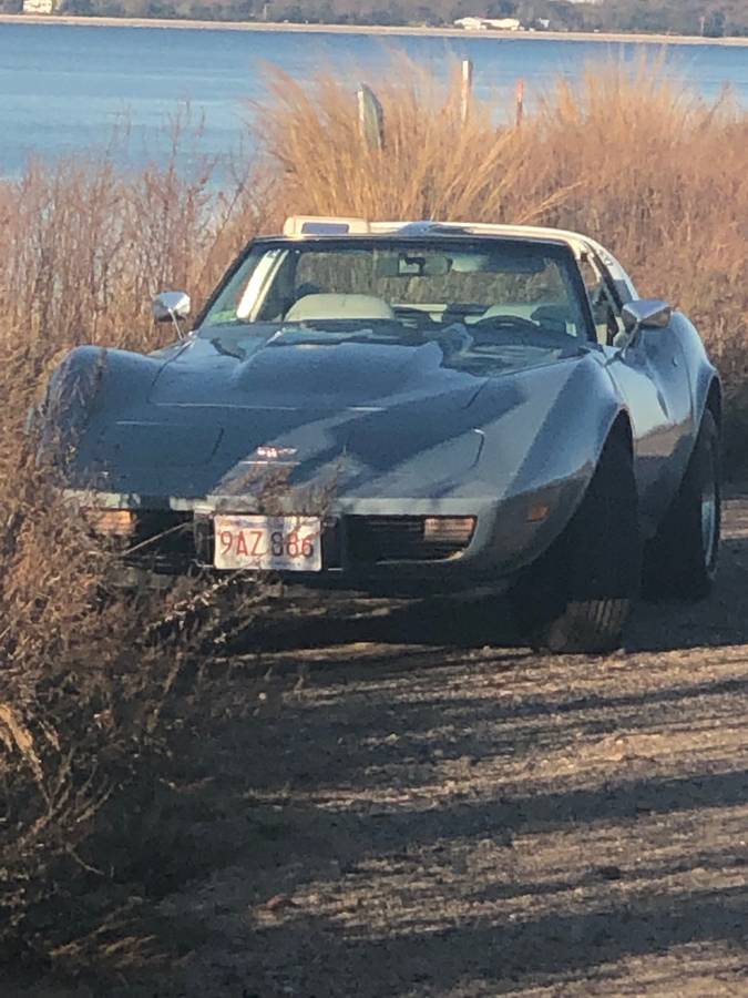 Chevrolet-Corvette-1977-blue-58741-5