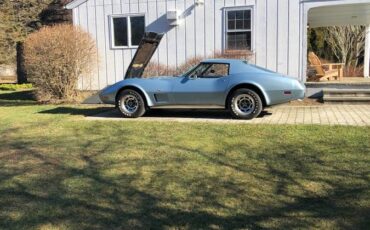 Chevrolet-Corvette-1977-blue-58741-7