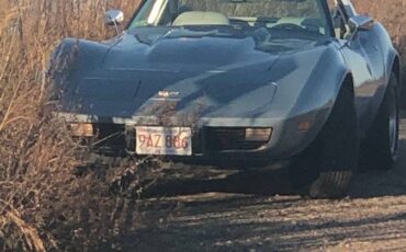 Chevrolet-Corvette-1977-blue-58741-8