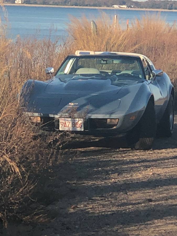 Chevrolet-Corvette-1977-blue-58741-8