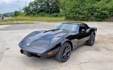 Chevrolet-Corvette-1978-Black-Black-123276-1