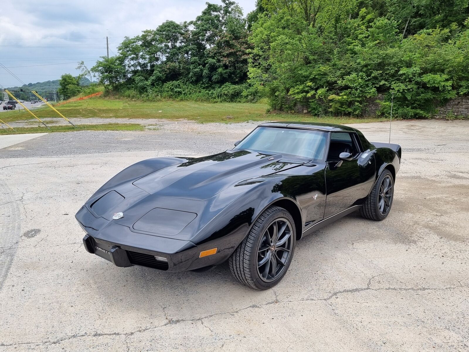 Chevrolet-Corvette-1978-Black-Black-123276-1