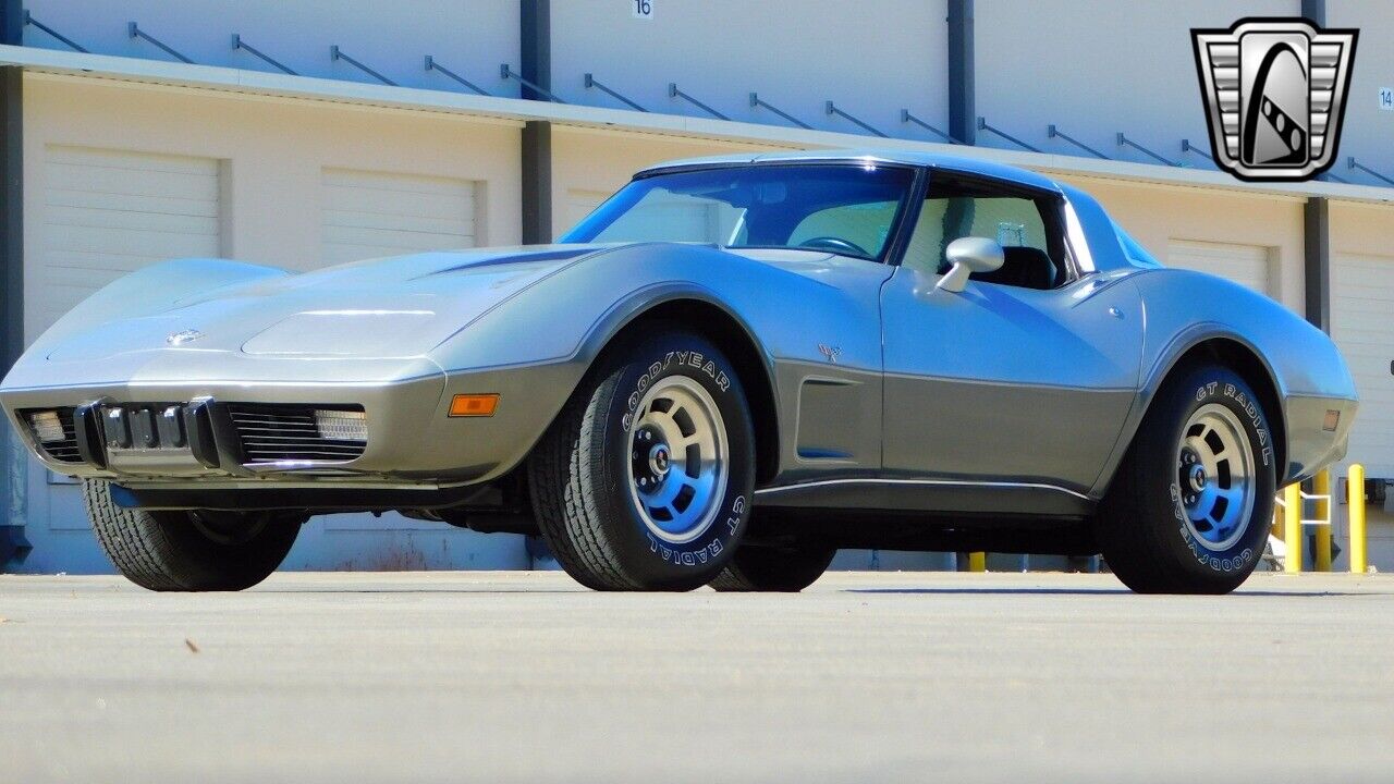 Chevrolet-Corvette-1978-Gray-Black-2755-3