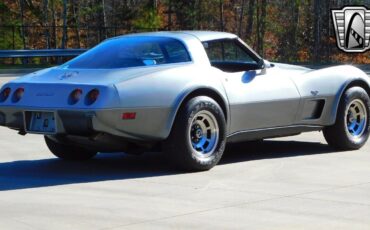 Chevrolet-Corvette-1978-Gray-Black-2755-7