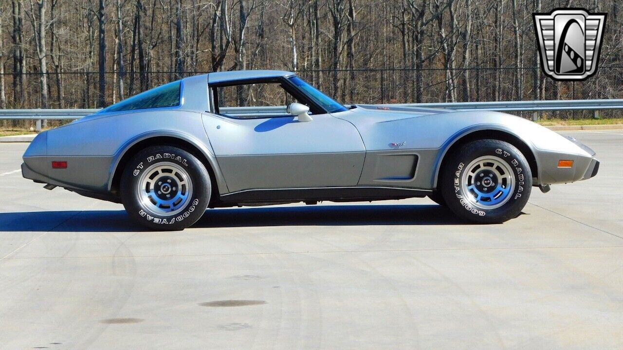 Chevrolet-Corvette-1978-Gray-Black-2755-8