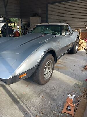 Chevrolet-Corvette-1978-Grey-72420-10