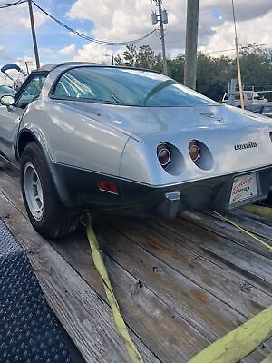 Chevrolet-Corvette-1978-Grey-72420-7