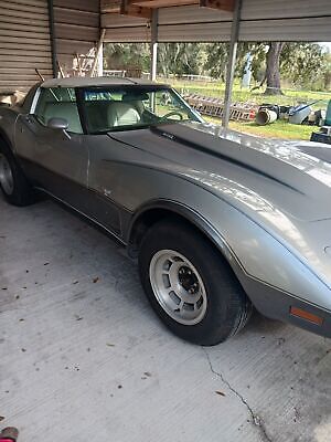 Chevrolet-Corvette-1978-Grey-72420-9