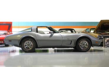 Chevrolet-Corvette-1978-Silver-Black-46917-14