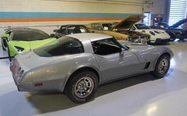 Chevrolet-Corvette-1978-Silver-Black-46917-16