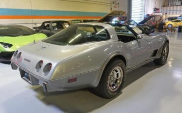 Chevrolet-Corvette-1978-Silver-Black-46917-17