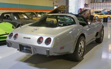 Chevrolet-Corvette-1978-Silver-Black-46917-18