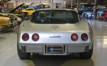 Chevrolet-Corvette-1978-Silver-Black-46917-22