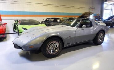 Chevrolet-Corvette-1978-Silver-Black-46917-3