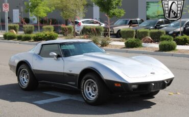 Chevrolet-Corvette-1978-Silver-Orange-117204-10