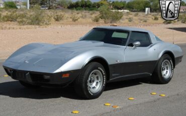 Chevrolet-Corvette-1978-Silver-Orange-117204-11