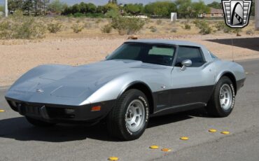 Chevrolet-Corvette-1978-Silver-Orange-117204-2